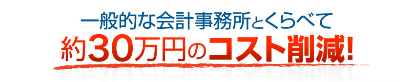 一般的な会計事務所とくらべて約30万円のコスト削減！