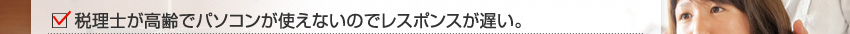 税理士が高齢でパソコンが使えないのでレスポンスが遅い。